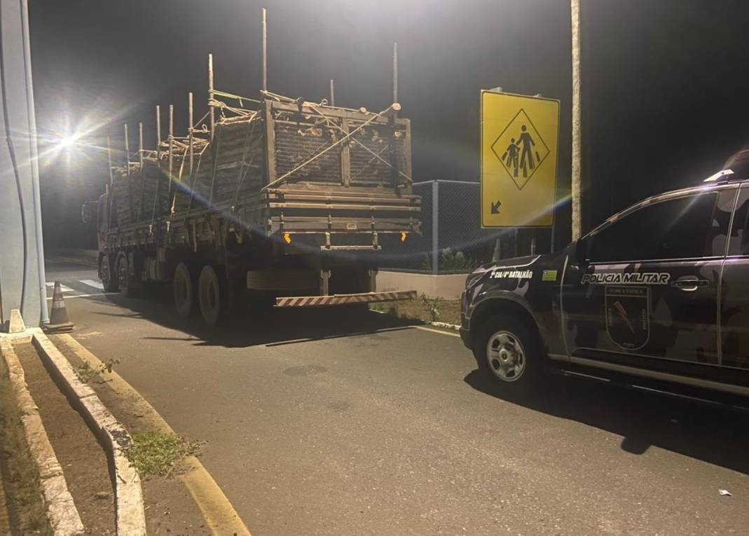 Polícia apreende carga ilegal de madeira em Inhuma